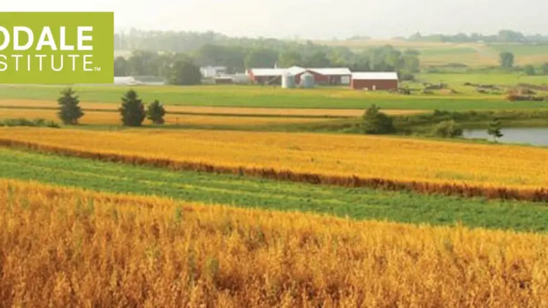 Rodale Institute Webinar Banner Image Rodale Institute Webinar Banner Image