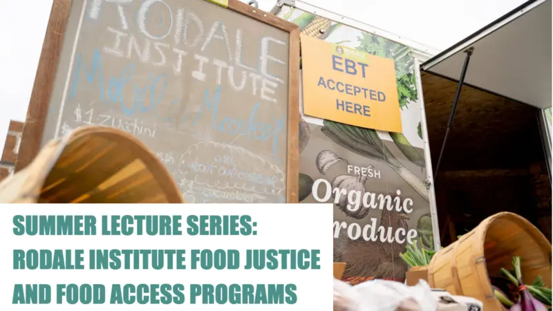 Photo of a Rodale Institute Chalk Board sign for their Mobile Market that sells organic fresh produce Photo of a Rodale Institute Chalk Board sign for their Mobile Market that sells organic fresh produce