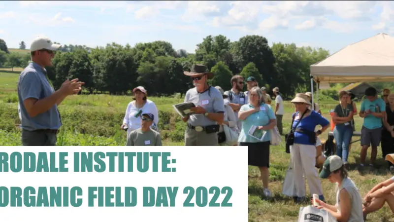 Rodale Institute worker speaking to a group of people who are listening and taking notes while standing in a crop field Rodale Institute worker speaking to a group of people who are listening and taking notes while standing in a crop field