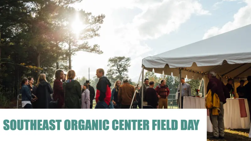Large group standing under tents and around tables at an outdoor venue Large group standing under tents and around tables at an outdoor venue