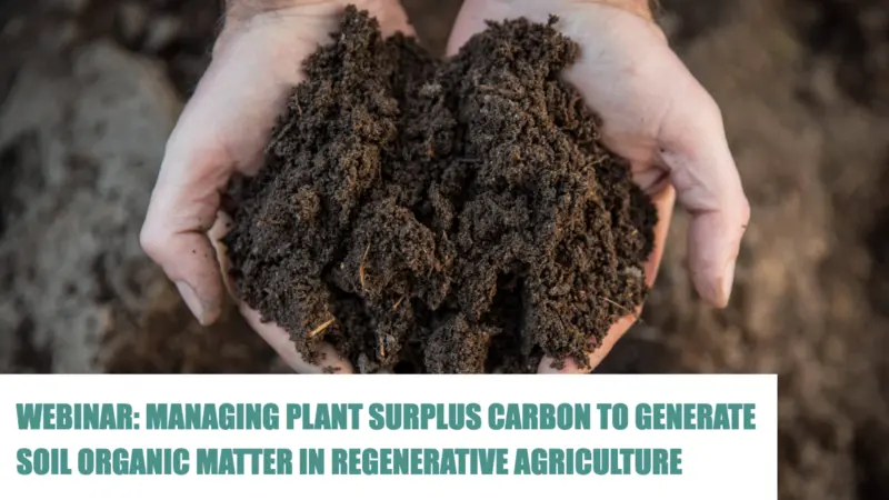 Soil held in palms of hands Soil held in palms of hands