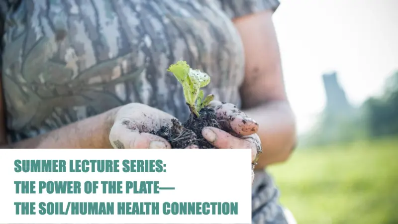 Women holding a newly growing plant that in her palms Women holding a newly growing plant that in her palms