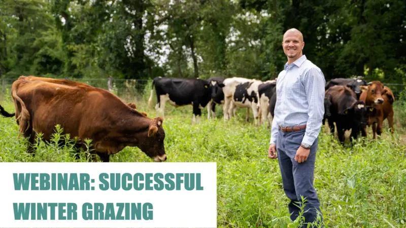 Man standing and smiling in a field with cows