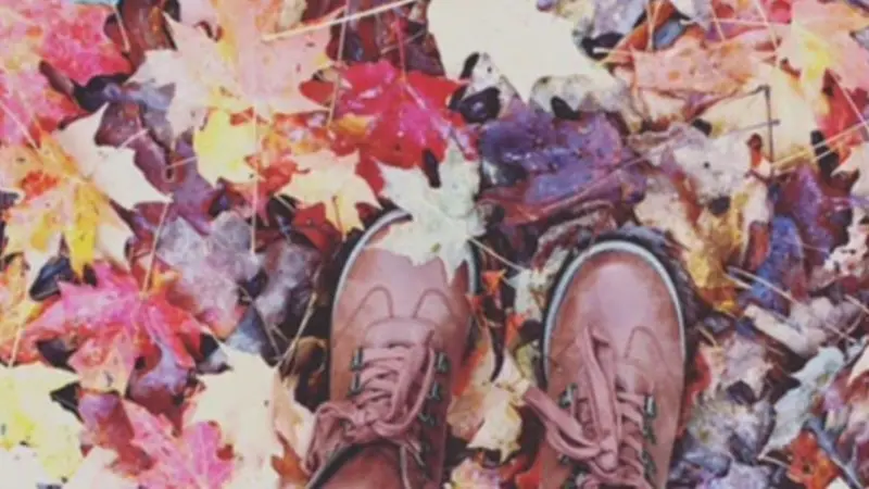 Fall Leaves on the ground with brown boots 