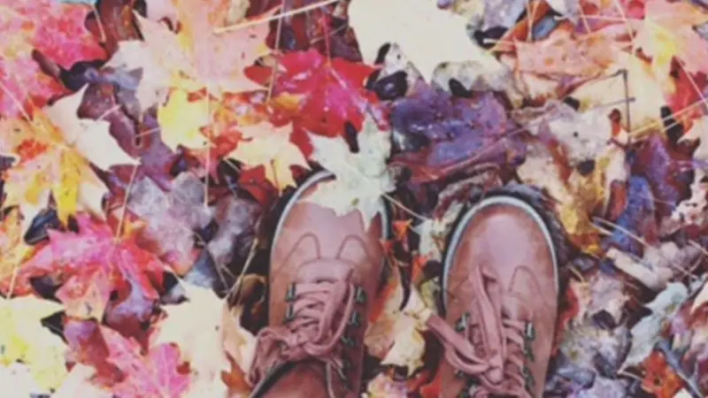 Fall Leaves with brown boots Fall Leaves on the ground with brown boots