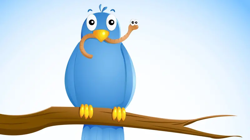 The early bird catches the worm The early bird catches the worm