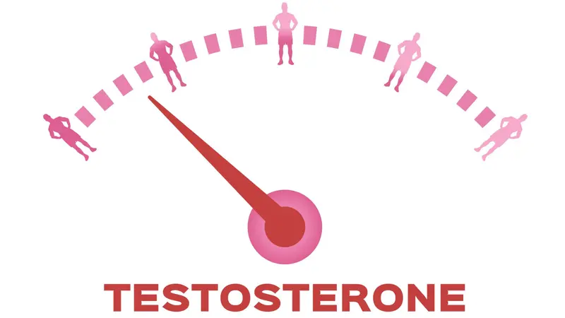 Testosterone meter on white background vector