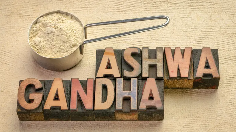 Scoop of ashwagandha root powder with a text in vintage letterpress wood type Scoop of ashwagandha root powder with a text in vintage letterpress wood type