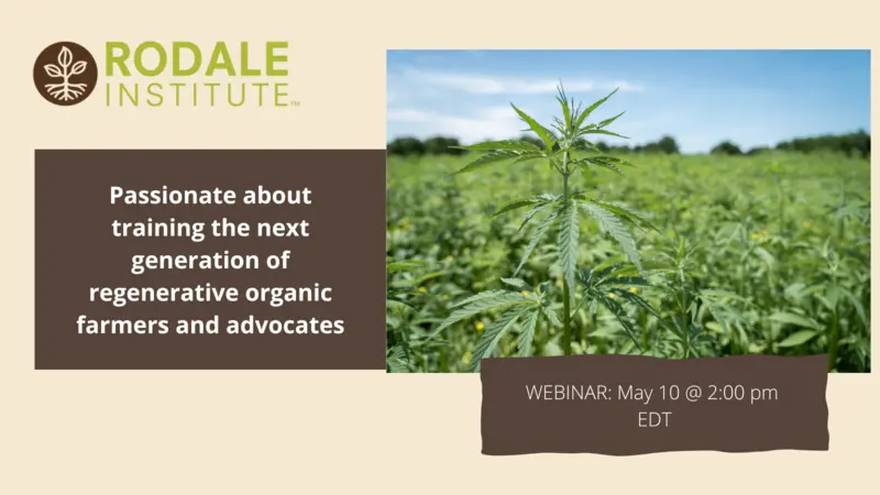 Growing Industrial Hemp as a Multipurpose Crop in Organic Cropping Systems Growing Industrial Hemp as a Multipurpose Crop in Organic Cropping Systems banner image