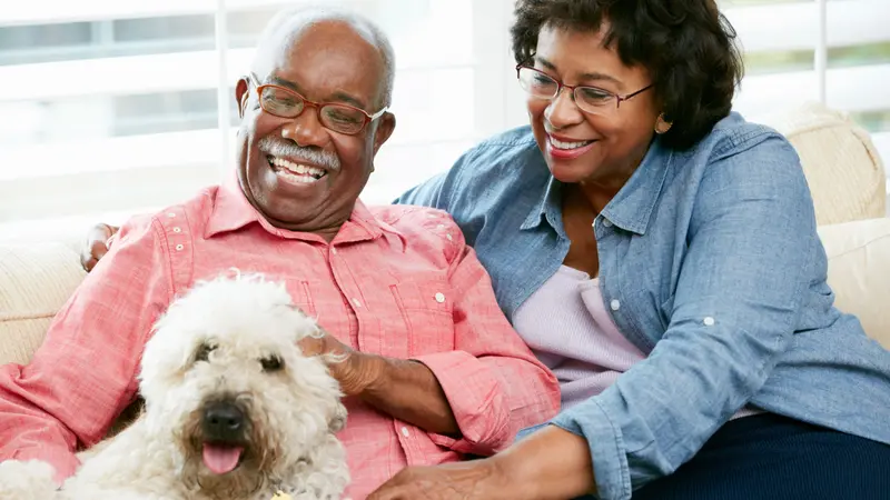 Happy Senior Couple Sitting On Sofa With Dog Happy Senior Couple Sitting On Sofa With Dog
