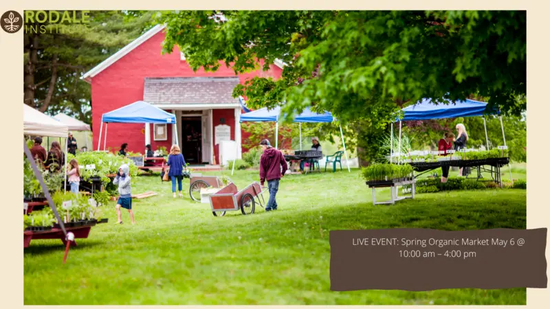 Spring Organic Market Spring Organic Market