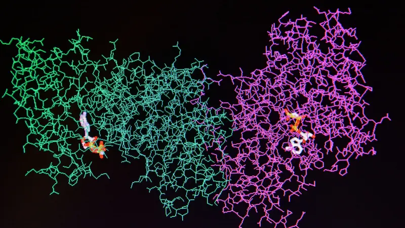 Molecular model of human enzyme on a black background.