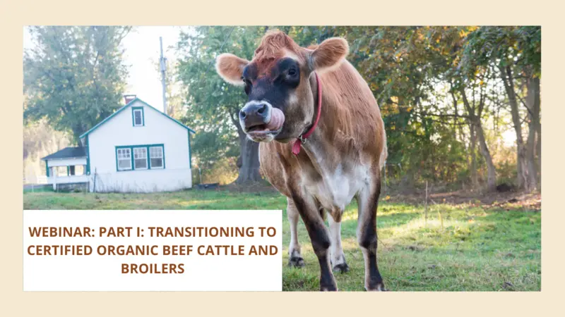 Part I: Transitioning to Certified Organic Beef Cattle and Broilers Part I: Transitioning to Certified Organic Beef Cattle and Broilers