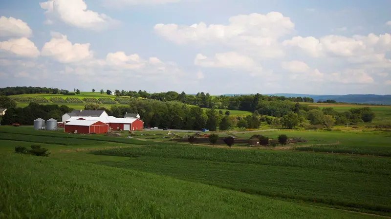 Rodale Farm Rodale Farm