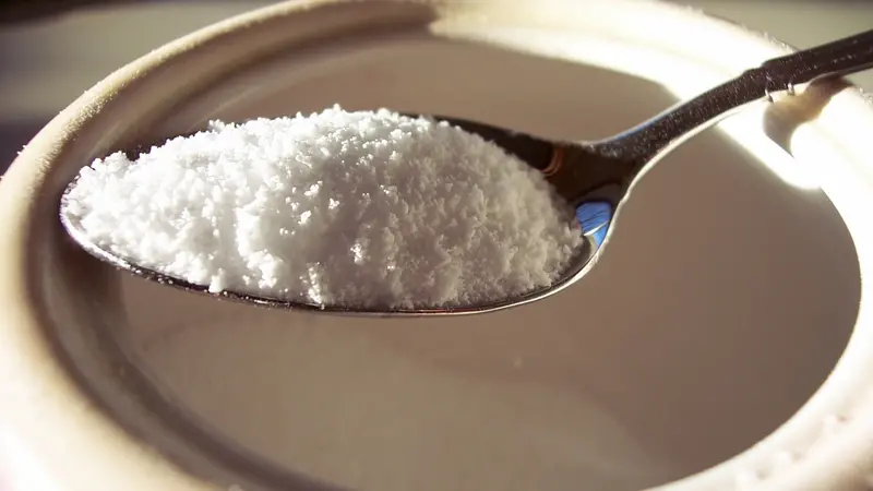 Sugar Substitute Sugar Substitute