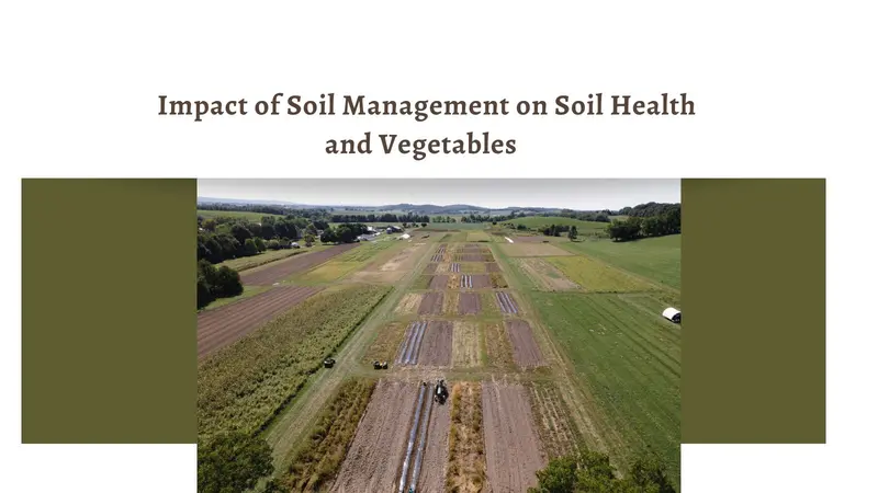 Webinar: Impact of Soil Management on Soil Health and Vegetables 