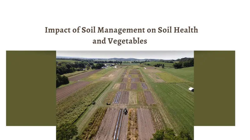 Webinar: Impact of Soil Management on Soil Health and Vegetables Webinar: Impact of Soil Management on Soil Health and Vegetables