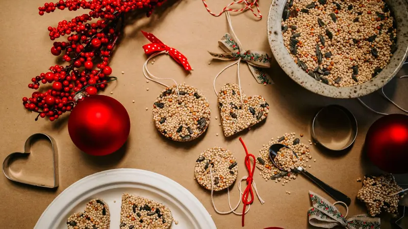 Homemade Birdseed Christmas Ornaments tied with Ribbon Homemade Birdseed Christmas Ornaments tied with Ribbon