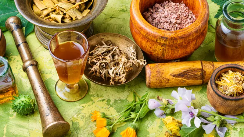 Natural medicine herbs, bowls on green table cloth