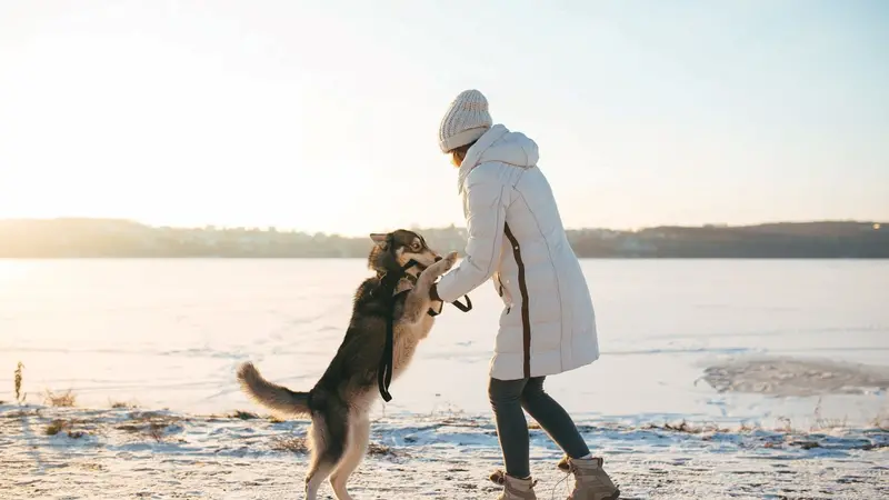 Woman with her dog near frozen lake Woman with her dog near frozen lake