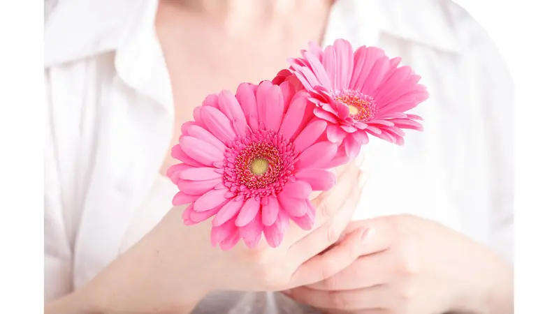 Woman holding pink flowers Woman holding pink flowers