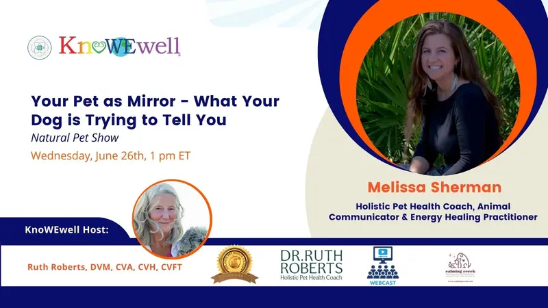 Your Pet as Mirror—What Your Dog is Trying to Tell You: Natural Pet Show Banner: Your Pet as Mirror—What Your Dog is Trying to Tell You: Natural Pet Show