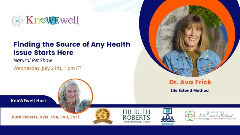 Finding the Source of Any Health Issue Starts Here: Natural Pet Show Banner: Finding the Source of Any Health Issue Starts Here: Natural Pet Show