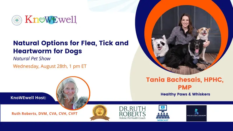Natural Pet Show: Natural Options for Flea, Tick and Heartworm for Dogs Banner: Natural Pet Show: Natural Options for Flea, Tick and Heartworm for Dogs