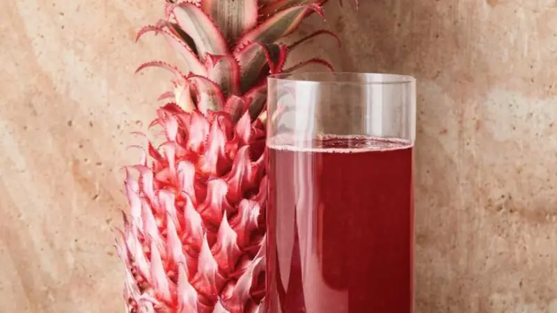 Pineapple-Hibiscus Drink Pineapple-Hibiscus Drink