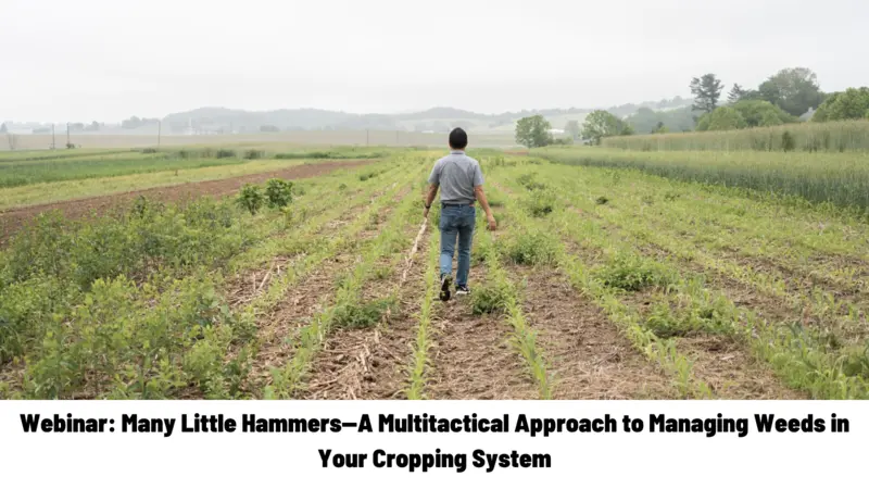 Webinar: Many Little Hammers—A Multitactical Approach to Managing Weeds in Your Cropping System Webinar: Many Little Hammers—A Multitactical Approach to Managing Weeds in Your Cropping System