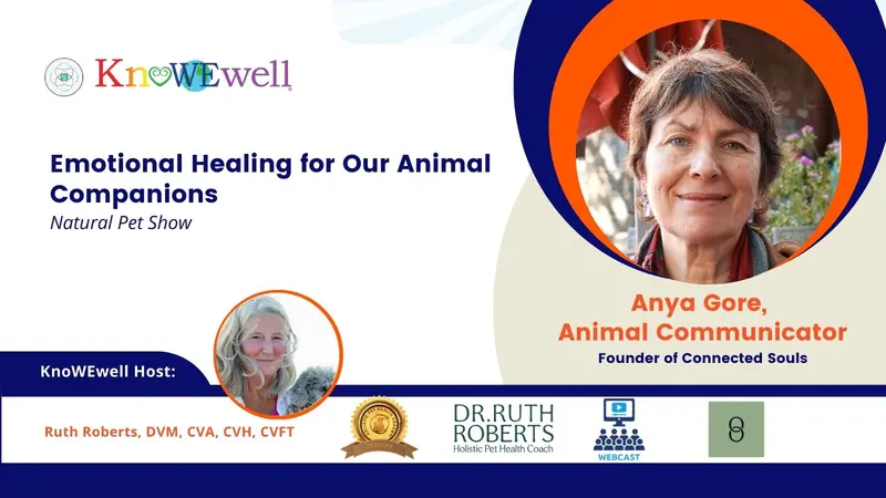 Emotional Healing for our Animal Companions: Natural Pet Show Banner: Emotional Healing for our Animal Companions: Natural Pet Show