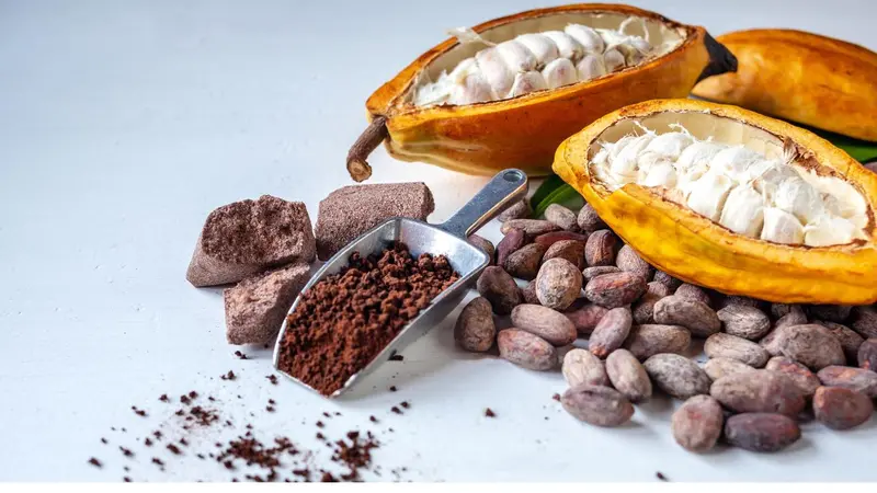 Cacao beans and pods