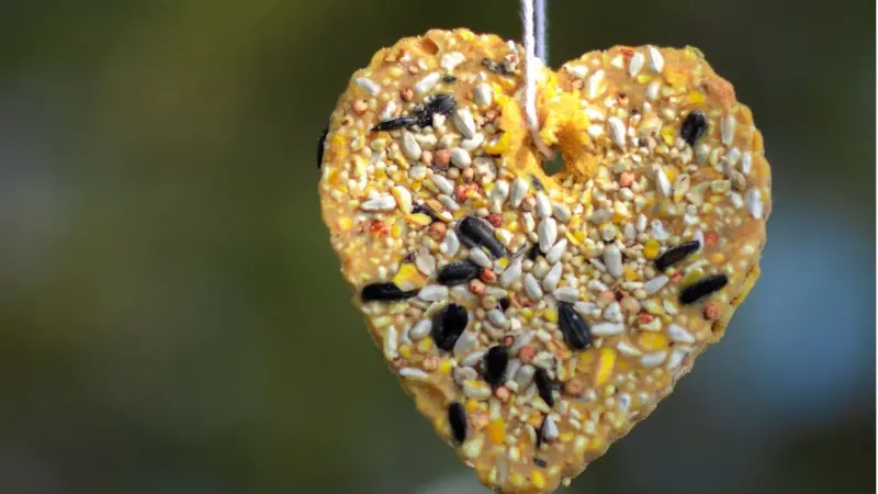 Bird Seed Heart Bird Seed Heart