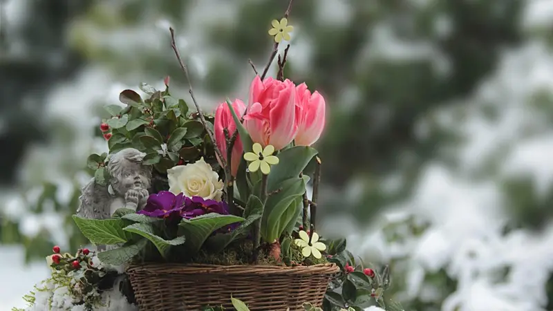basket of flowers basket of flowers