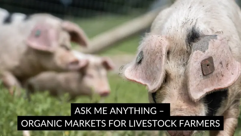 Ask me Anything – Organic Markets for Livestock Farmers Ask me Anything – Organic Markets for Livestock Farmers