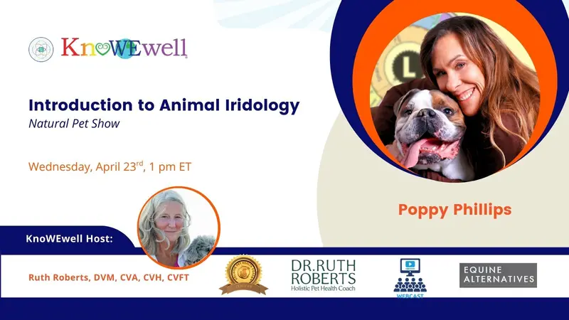 Banner: Natural Pet Show: Introduction to Animal Iridology
