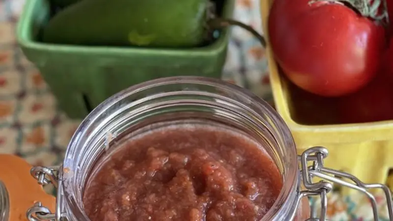 Blender Salsa Blender Salsa