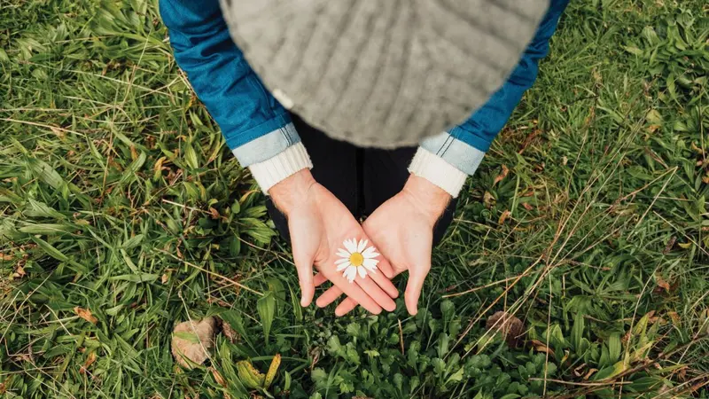The wonder of a flower The wonder of a flower