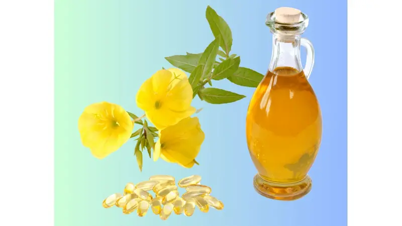 Primrose flowers, oil and supplements Primrose flowers, oil and supplements