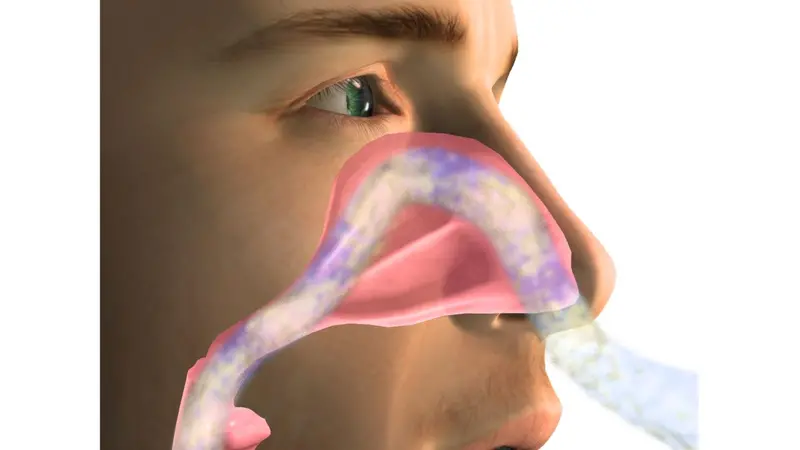 Nasal delivery of proteins Nasal delivery of proteins