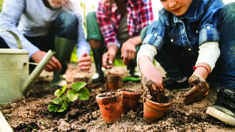 A kids planting A kids planting