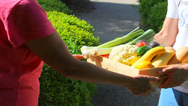 Person offering CSA box full of vegetables to another person Person offering CSA box full of vegetables to another person