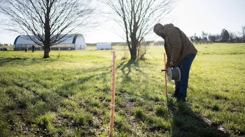 Farmer building a fence Farmer building a fence