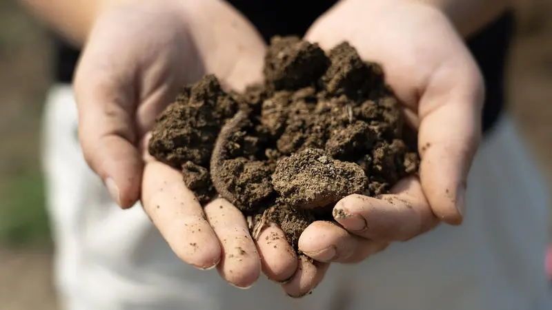 Hands holding soil Hands holding soil
