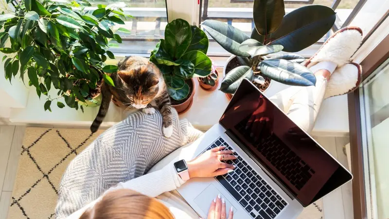Woman and her cat sitting in her own home oasis