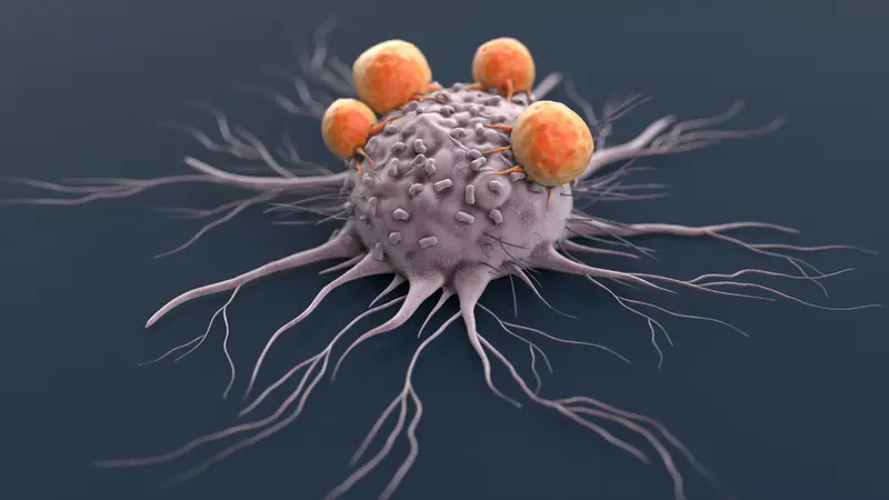 cancer cell being attacked by immune system cells