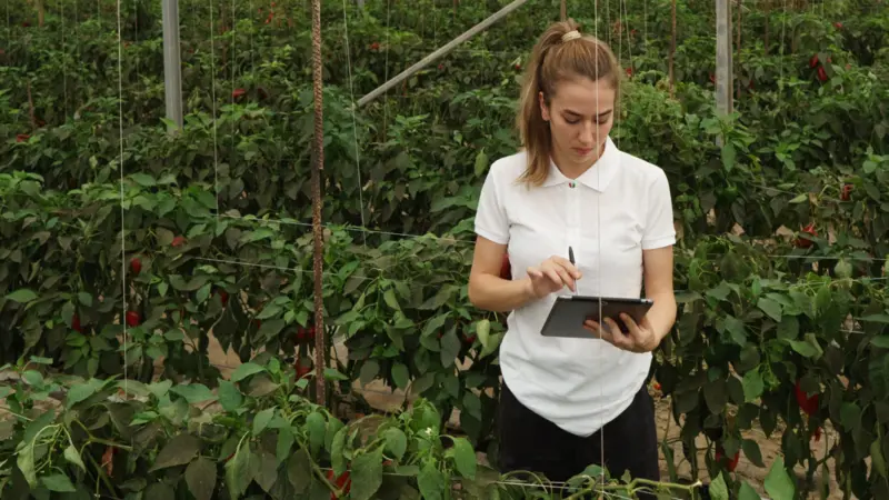 Woman with iPad inspecting crops, representing regenerative business 