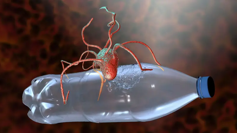 3D rendering of bacteria eating a plastic waterbottle 