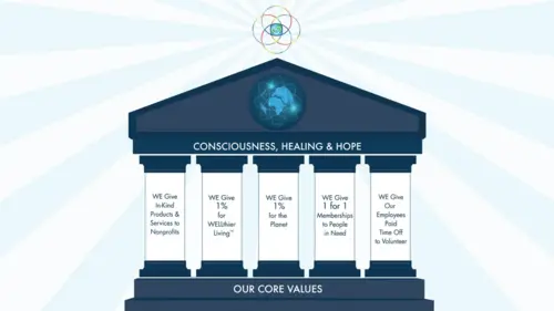 Columns listing KnoWEwell's 5 pillars of giving