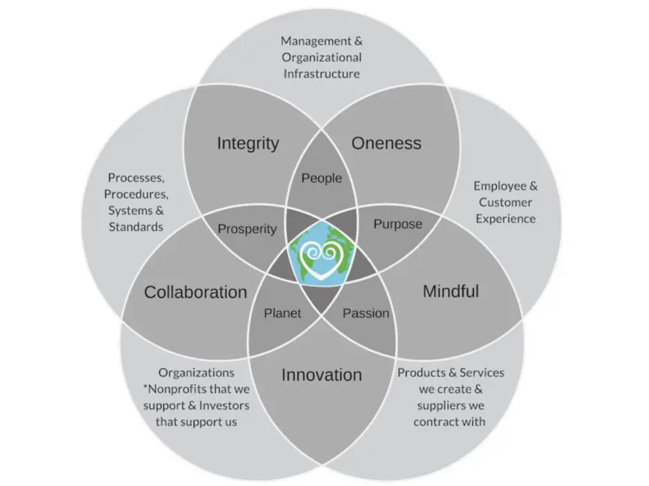 KnoWEwell core values diagram